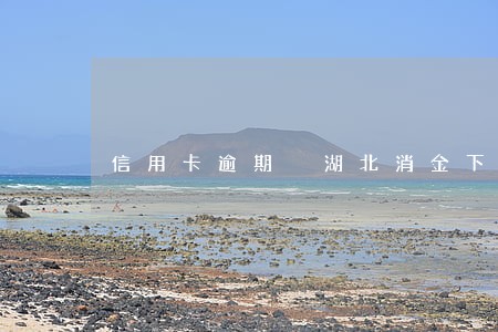 信用卡逾期 湖北消金下款 信用卡逾期 湖北消金下款